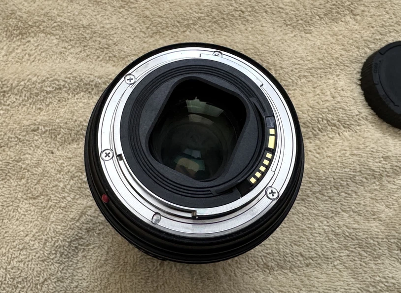 Canon EF 24-105mm f/4L IS II USM - Very Clean - Image 9